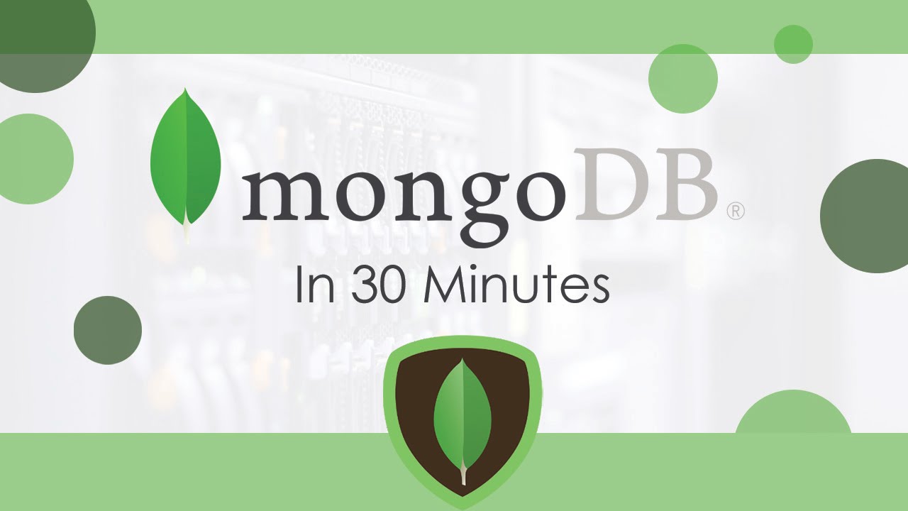 MongoDB In 30 Minutes